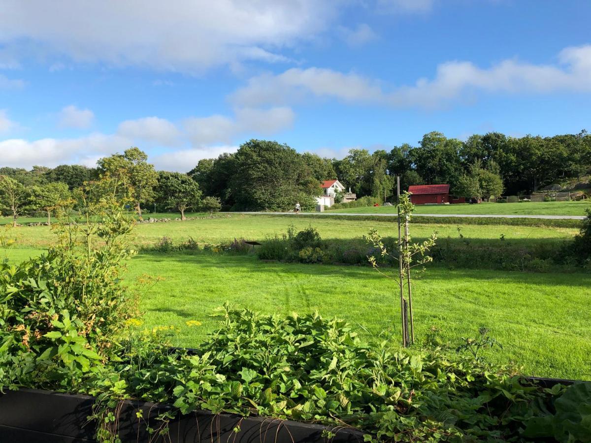 Mysig Nybyggd Stuga Naera Hav Och Natur Klovedal 外观 照片